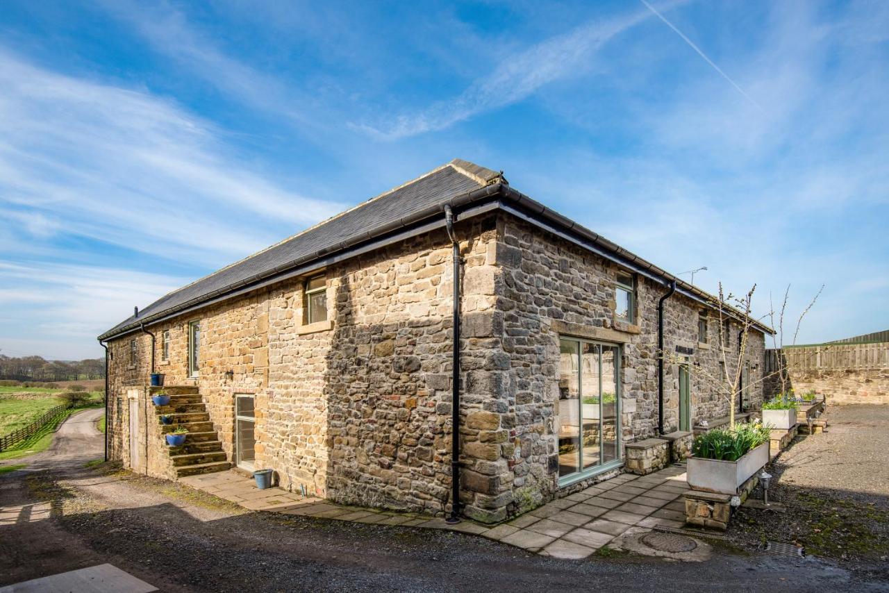 Riding Farm Cottages Gateshead Bagian luar foto