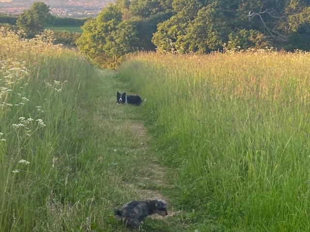 Riding Farm Cottages Gateshead Bagian luar foto