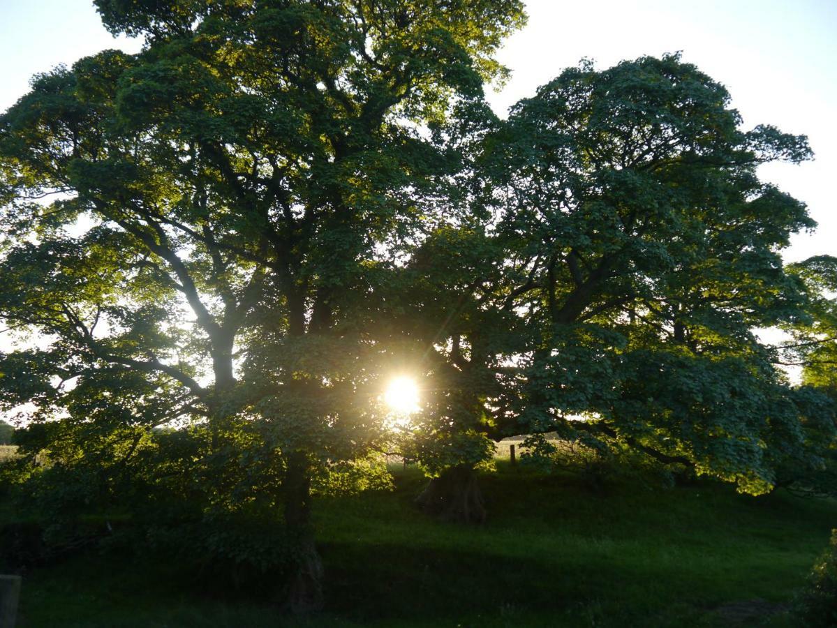 Riding Farm Cottages Gateshead Bagian luar foto