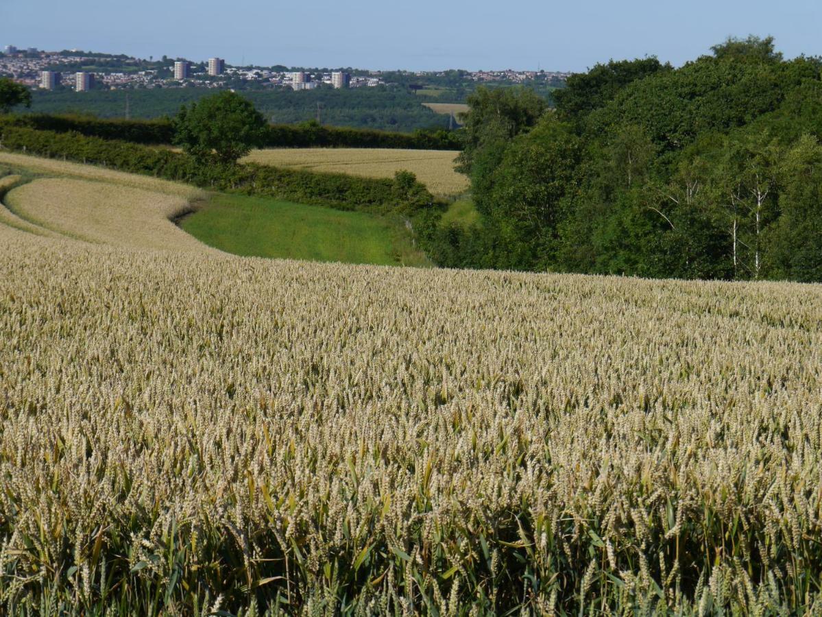 Riding Farm Cottages Gateshead Bagian luar foto