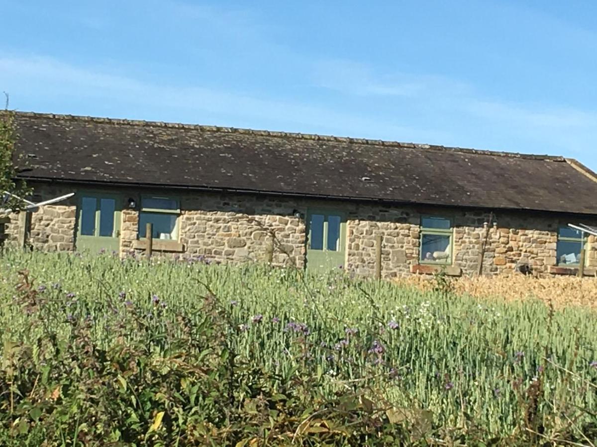 Riding Farm Cottages Gateshead Bagian luar foto