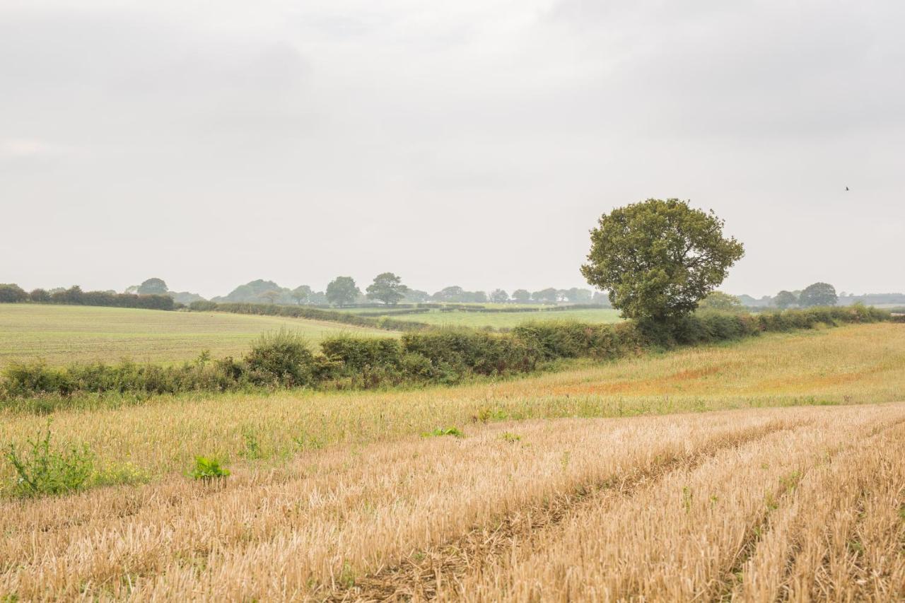 Riding Farm Cottages Gateshead Bagian luar foto